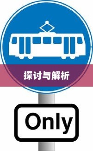 电车汽车全险深度探讨与解析
