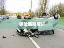 电动车电池磕破后的保险保障详解