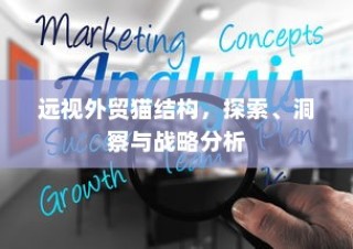 远视外贸猫结构，深度探索、战略洞察与分析