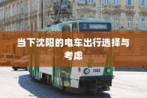沈阳电车出行选择与考量