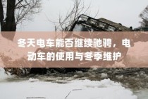 电车自燃现象深度解析，品牌差异与事故原因探究