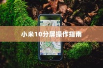 小米10分屏操作指南