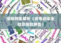 电动车保险全攻略，解析保险种类与全险购买可行性