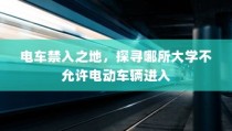 浙江高考语文卷深度探索与解析