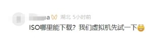 Windows电脑无法安装华为鸿蒙操作系统ISO镜像，期待落空，问题解析