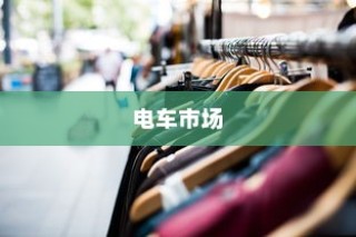 主流电车品牌选购指南，全面解析几大品牌选择攻略