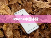 LG和iPhone，全球化产物与中国市场的交融