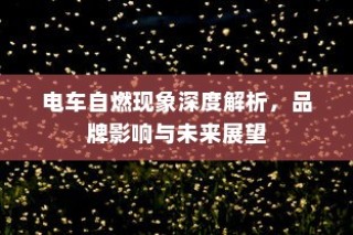 电车自燃现象深度解析，品牌影响及未来展望