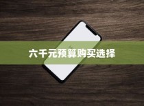 六千块买什么苹果手机，深度解析与推荐