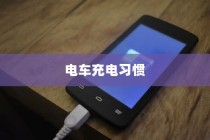 电车充电习惯探究，隔天充电对电池寿命的影响分析