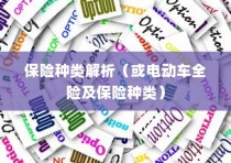 电动车保险全攻略，解析保险种类与全险购买可行性