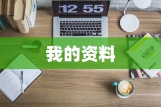电车自燃现象深度解析，品牌差异与事故原因探究