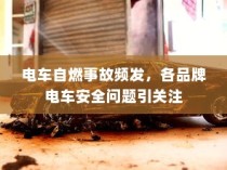 电车自燃现象深度解析，品牌差异与事故原因探究