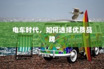 电车时代，如何选择优质品牌攻略