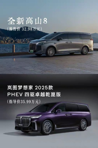 MPV新王争霸，魏牌高山与岚图梦想家硬核参数对比解析报告