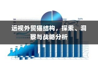 远视外贸猫结构，深度探索、战略洞察与分析