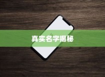 揭秘苹果手机7的真实名字