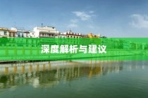 斯里兰卡购买电车是否划算，深度解析与建议探讨购买电车利弊