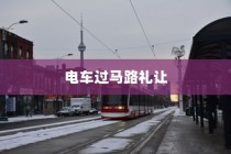 南宁上电车牌照流程详解，所需材料、步骤全解析