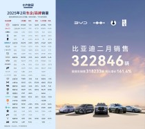 比亚迪2月销量飙升！国内外市场双丰收，稳坐新能源宝座？