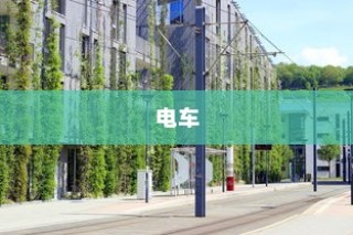 真皮电车坐垫套的通用性与市场探讨