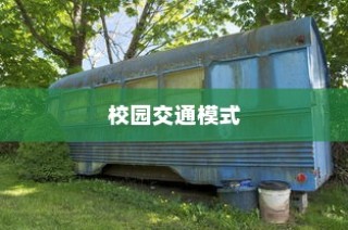 校园交通模式探索，禁电车大学名单揭秘