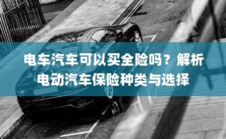 电动汽车保险种类解析与全险购买指南