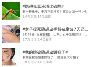 警惕！活跃虫子易致‘毁容’，遇到千万别拍打