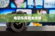 电动车保险全攻略，解析保险种类与全险购买可行性
