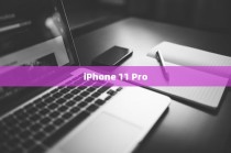 （一）iPhone 11 Pro概述