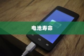 电车充电习惯与电池寿命探讨，隔天充电是否可行？