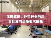 深度解析，外贸鞋业的质量标准与品质挑战探讨
