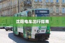 沈阳电车出行指南，实时路况分析与出行建议