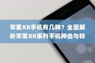 全面解析，苹果XR系列手机种类及其特点