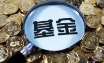 如何查基金公司排名 以下几种途径都能查到