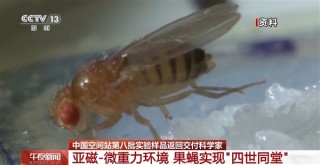 中国空间站第八批实验样品成功返回，涉及25个项目，重量约37公斤的成果揭秘