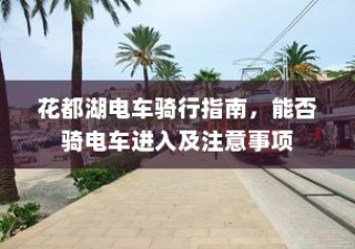 未来电动出行的极限距离，探索电动车的最长行驶距离之旅