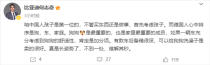 比亚迪何志奇揭秘，德国人偏爱的汽车后备箱设计背后的故事与汽车热销原因探究——狗的地位与汽车文化关联分析