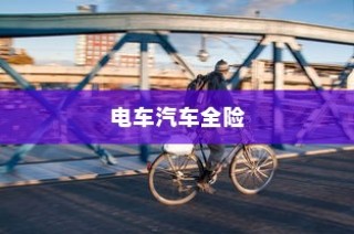 电车汽车全险深度探讨与解析