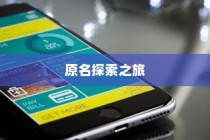 苹果手机原名的探索之旅