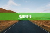 电动车续航巅峰之旅，探寻长距离之王