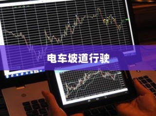 浙江高考语文卷深度探索与解析