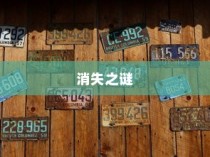 电车车牌神秘消失探秘
