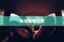 探讨电车充电习惯与最佳实践，隔天充电是否可行？