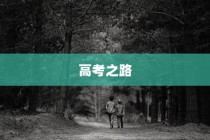 高考路上的坚韧探索，刻苦拼搏铸就辉煌之旅