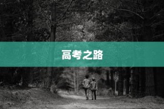 高考路上的坚韧探索，刻苦拼搏铸就辉煌之旅