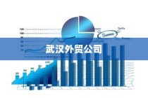 电车自燃现象深度解析，品牌差异与事故原因探究