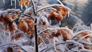 受降雪和冻雨天气影响 山西贵州等地152个路段封闭