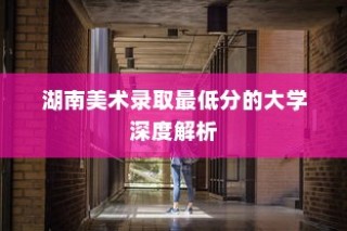 湖南美术录取最低分的大学全面剖析