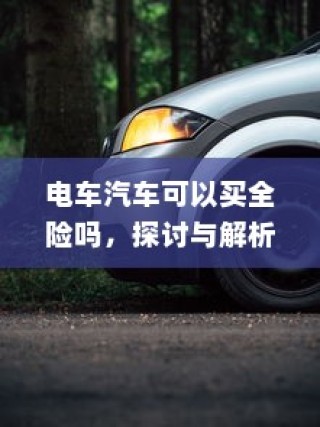 电车汽车全险探讨与解析